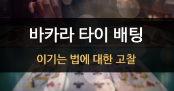 바카라 타이 배팅, 이기는 법에 대한 고찰